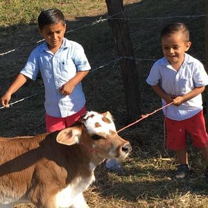 Meet your Posher, Ivan